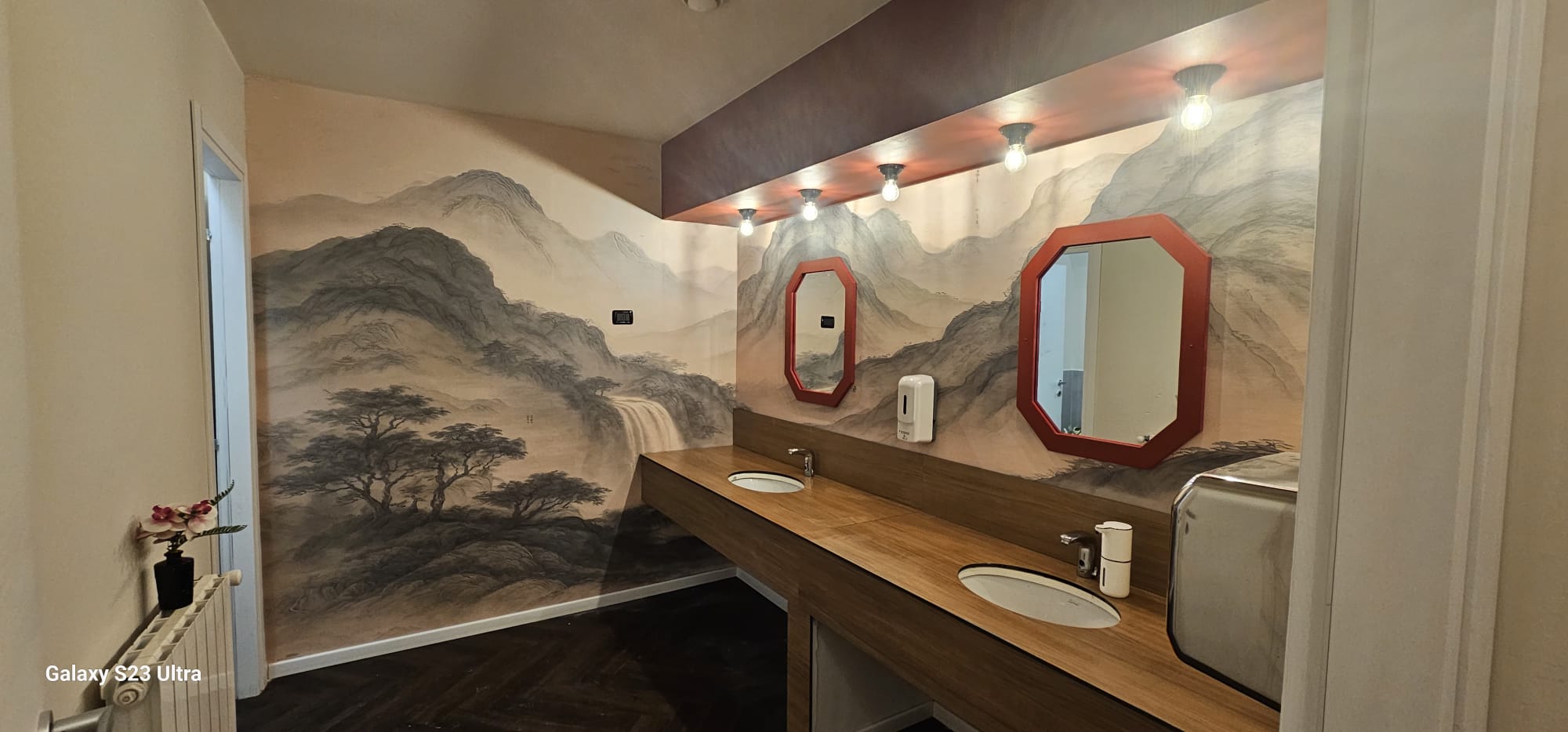 IKON mobile unit interior with landscape mural